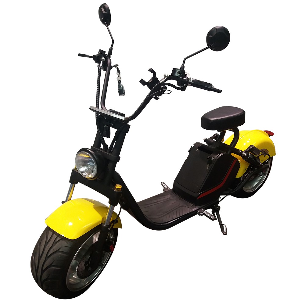 Xplorer Bulldog