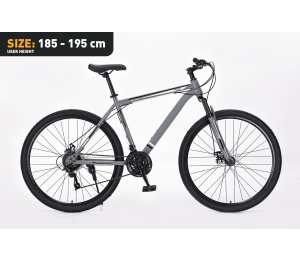 Xplorer MTB Fahrrad MATTERHORN Gray 29"