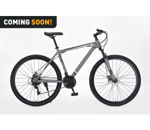 Xplorer MTB Fahrrad MATTERHORN Gray 29"